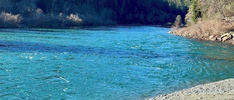 Surrounded by lush evergreen and deciduous trees, this serene river scene offers a peaceful escape.
