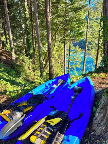 Redwoods ON The River.  Luxury Retreat With Beach Access!