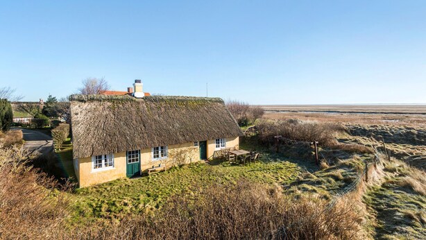 A thatched-roof house with a green door, surrounded by a grassy field and sparse vegetation. - 4 bedroom gorgeous home in Fanø (Fanø)