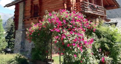 Room 'Pet Friendly' with Mountain View, Shared Garden and Wi-Fi