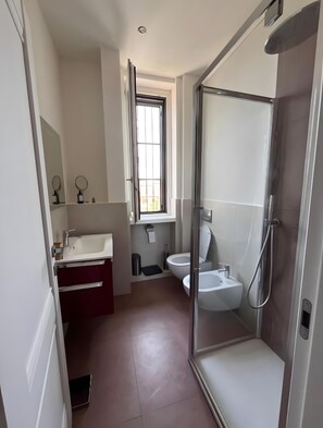 Shower, hair dryer, towels
