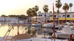 Un puerto deportivo con barcos amarrados, palmeras y edificios al fondo.