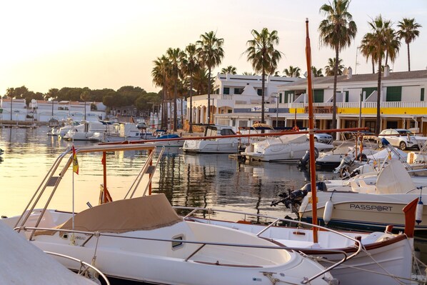 A marina with boats docked, palm trees, and buildings in the background.