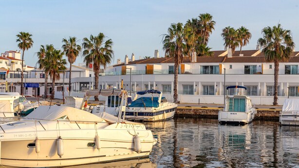 A marina with boats docked, palm trees, and a white building with balconies.