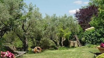 Jardines del alojamiento