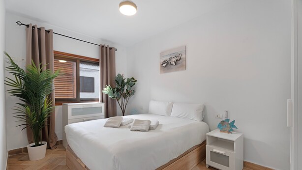 A bedroom with a bed, a nightstand, a potted plant, a window with curtains, and a wall-mounted artwork.