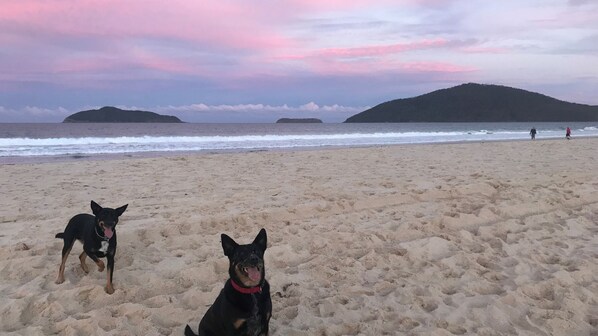 Beach nearby