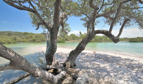 Saltwater Retreat Hawks Nest