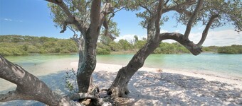 Saltwater Retreat Hawks Nest