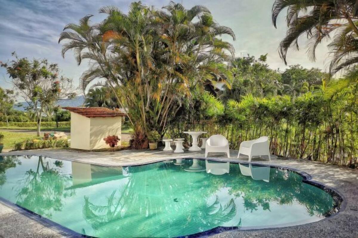 A swimming pool with a clear blue water surface, surrounded by lush greenery and palm trees.