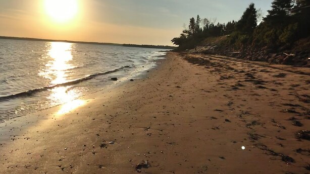 En strand med klar himmel og solens spejling i vandet.