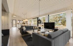 TV - Amazing home in Skjern with sauna (Skjern)