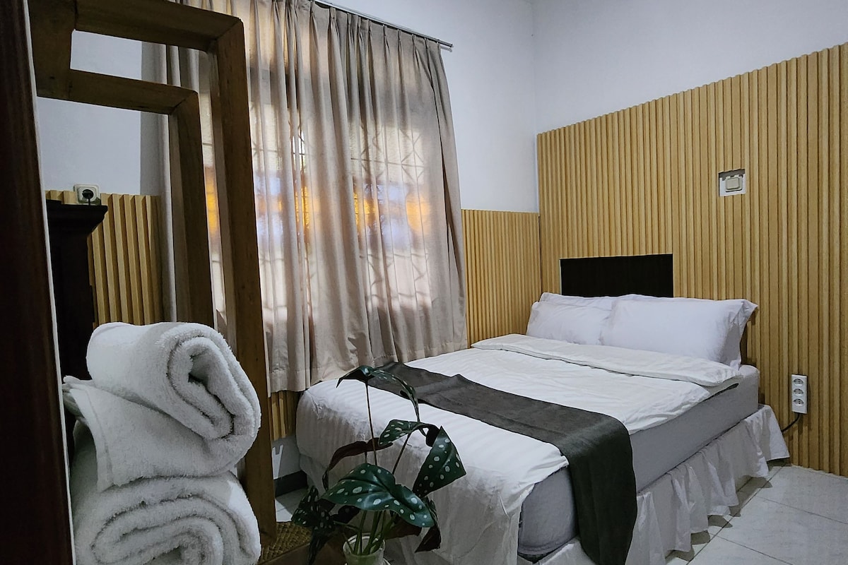 Una habitación de hotel con cama, espejo, planta y perchero.
