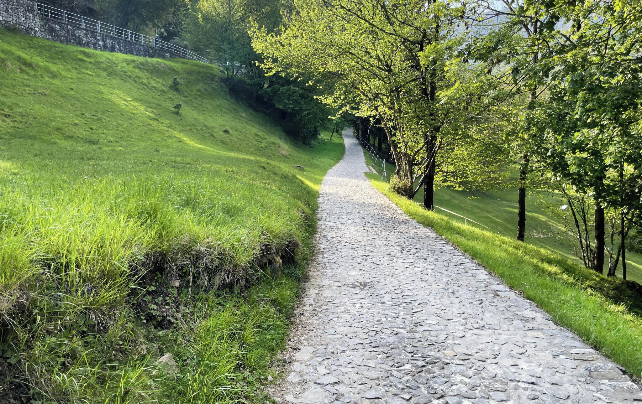A stone pathway through a grassy area with trees on either side.