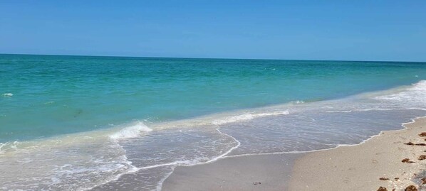 On the beach