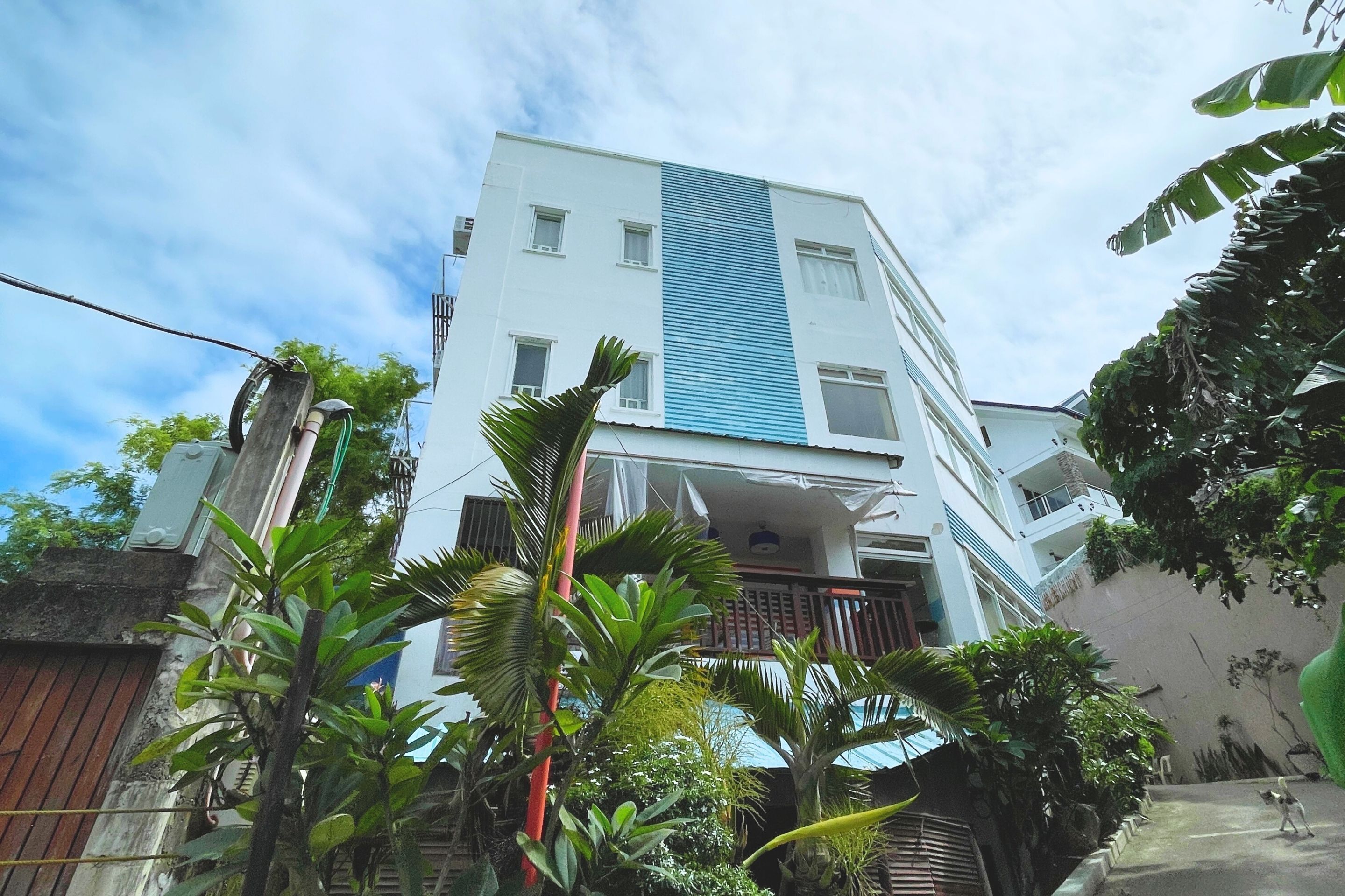 A multi-story building with a white facade and blue stripe, surrounded by lush greenery.