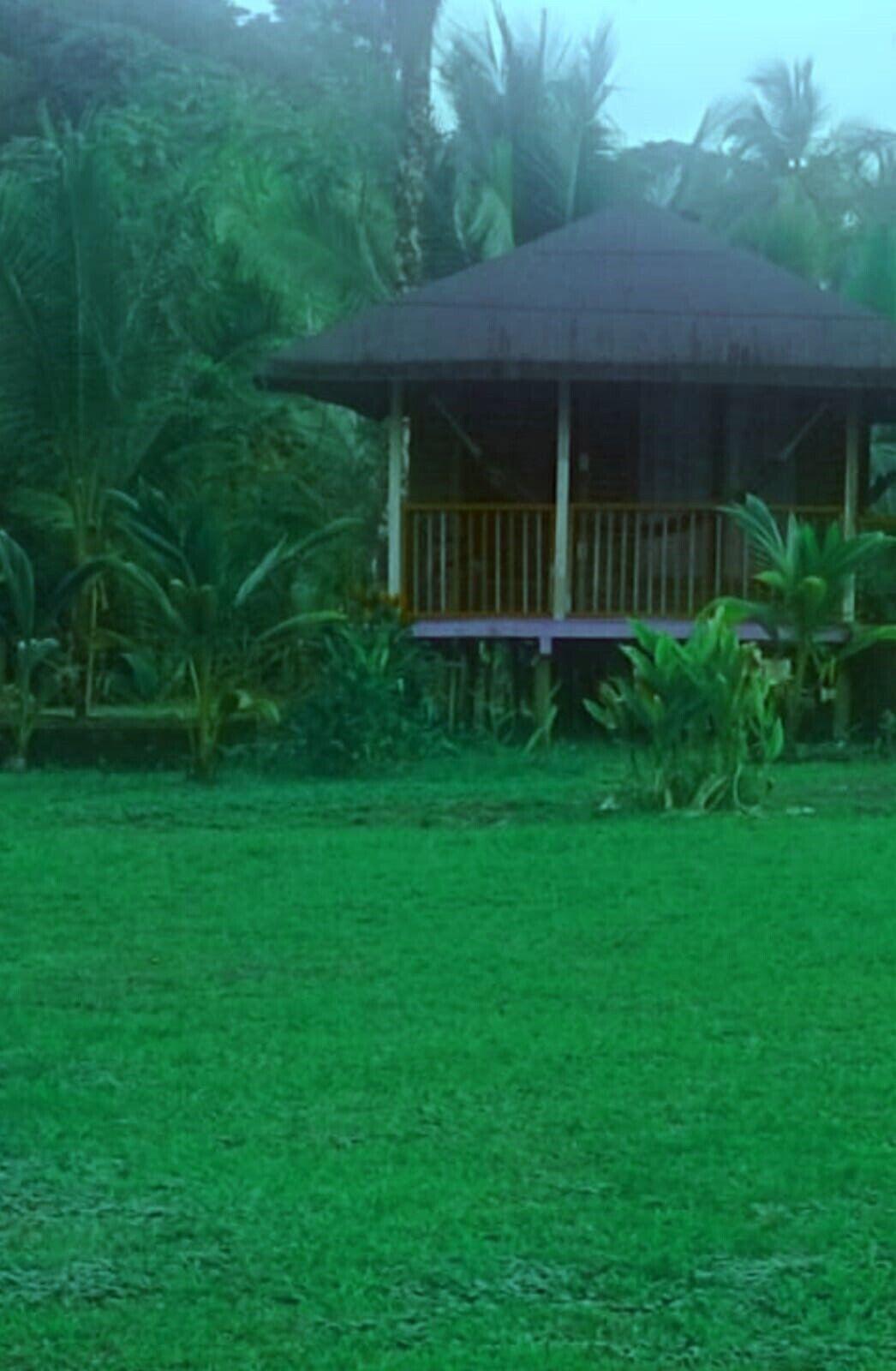 Standard Double or Twin Room, Beach View