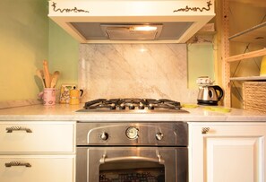 Fridge, oven, stovetop, dishwasher