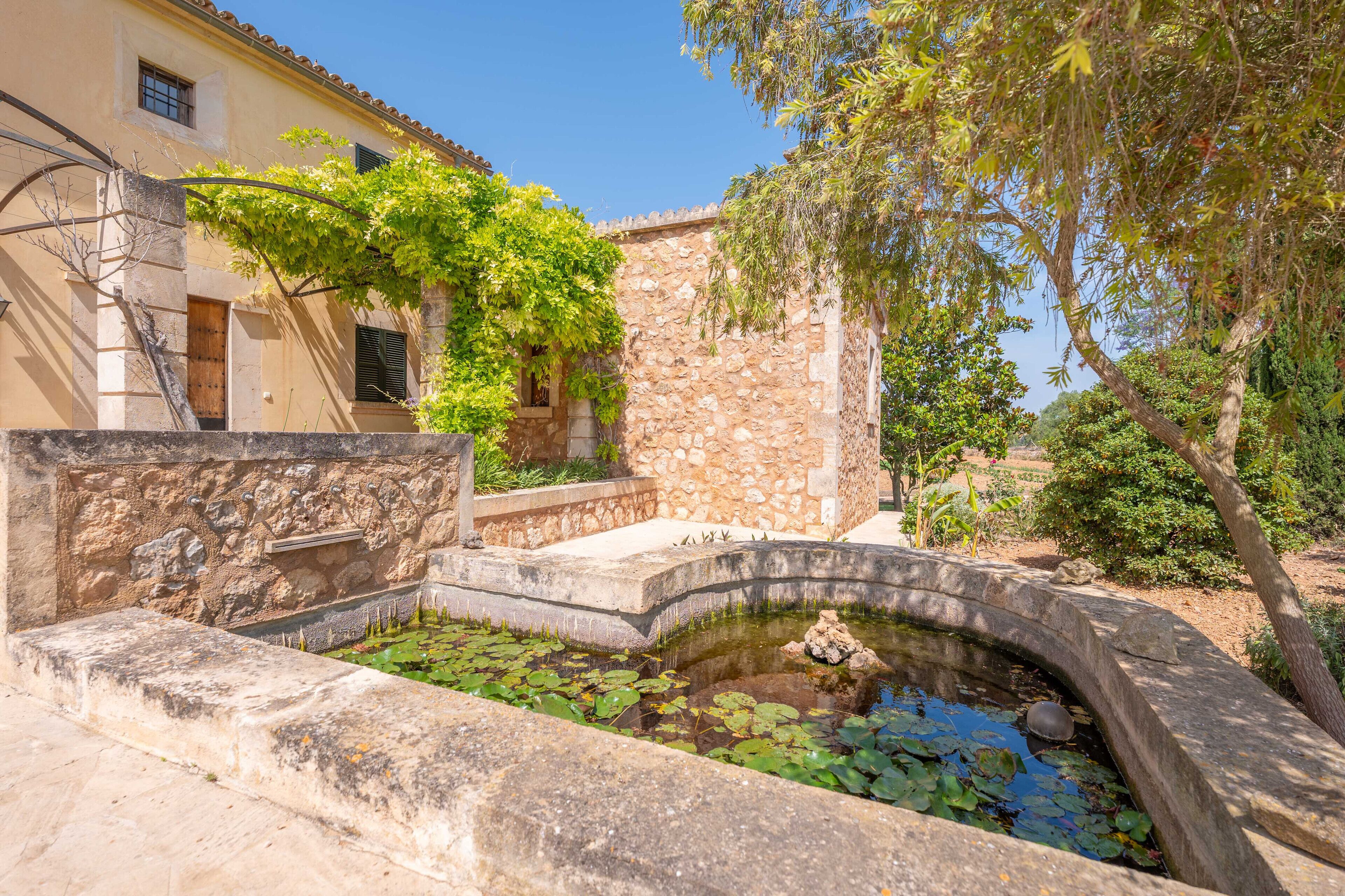 Terrein van de accommodatie