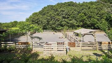 Área da propriedade