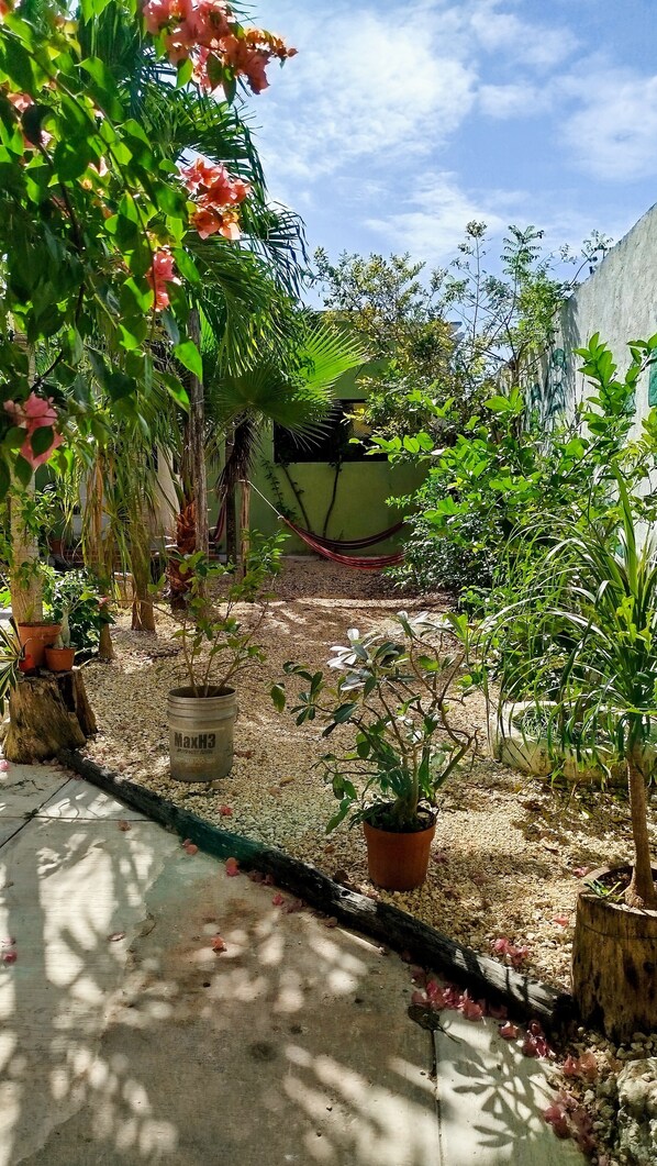 Standard Double Room, Patio | Terrace/patio