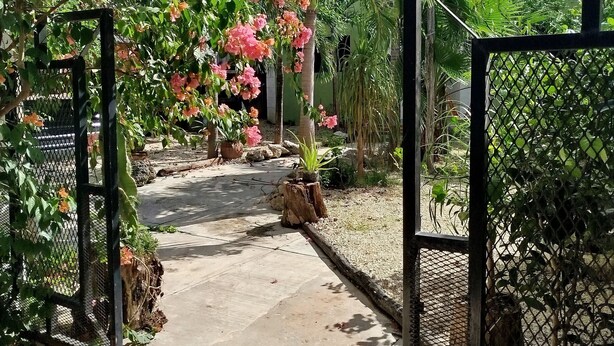 Un sentier de jardin agrémenté d’un portail en métal, entouré d’une végétation luxuriante et de plantes en fleurs.