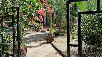 Kamar Double Standar, patio | Teras/patio
