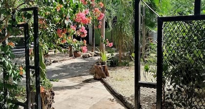 Casa Otilia - Hospedaje