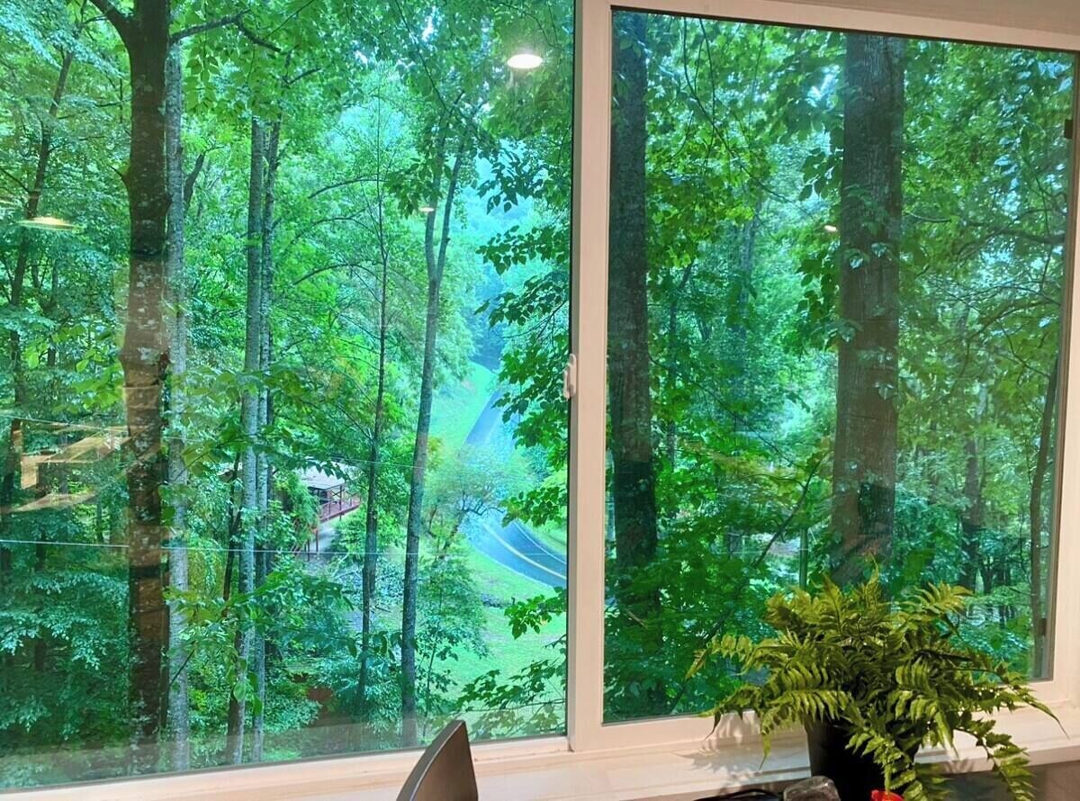 Imagen de perfil del propietario o de la propietaria