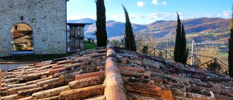 Vista desde la propiedad