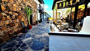 Une cour dallée de pierres, avec un chat blanc, des plantes en pot et des sièges d’extérieur.