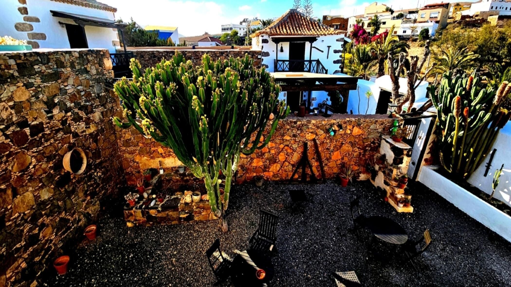 A rooftop garden with cacti and potted plants, stone walls, and a view of the surrounding buildings.