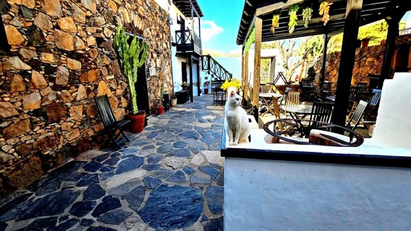 Outdoor dining - Enjoy a cozy retreat in our Casa Isaítas - (Guisguey) (Pájara)