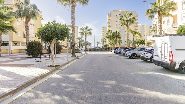 A street lined with palm trees and parked cars, with buildings on either side.