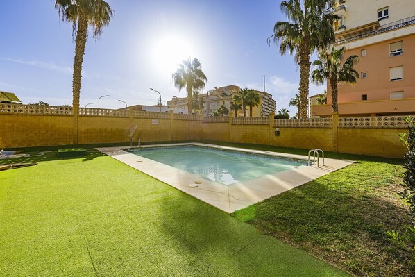 A swimming pool with a tiled deck, surrounded by a low brick wall and palm trees.