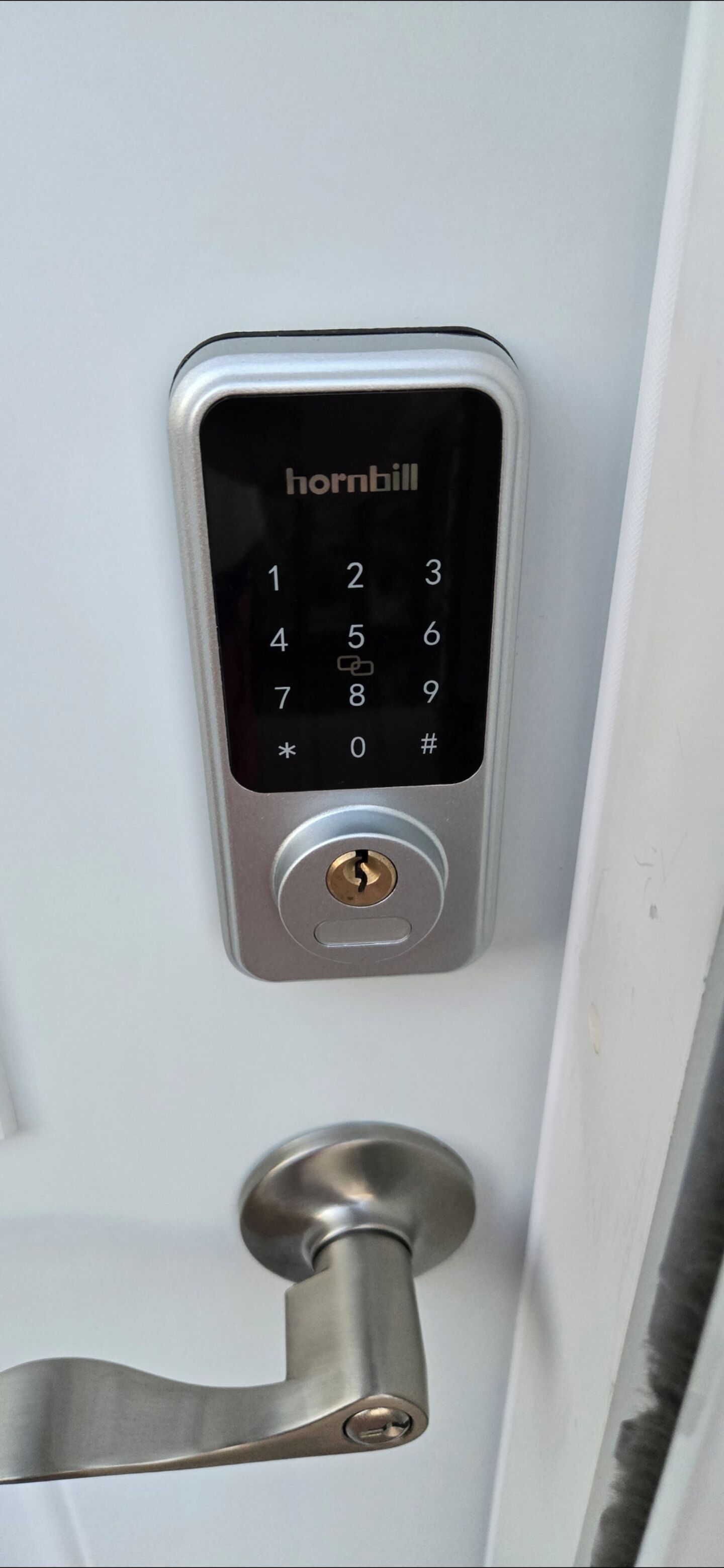 Eine Tür mit elektronischer Schlüsseltastatur und Hornbill-Markenriegel.