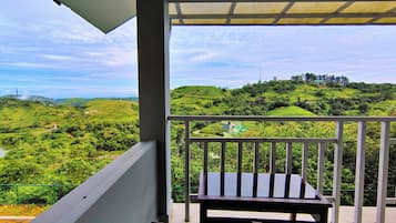 Vue depuis le balcon