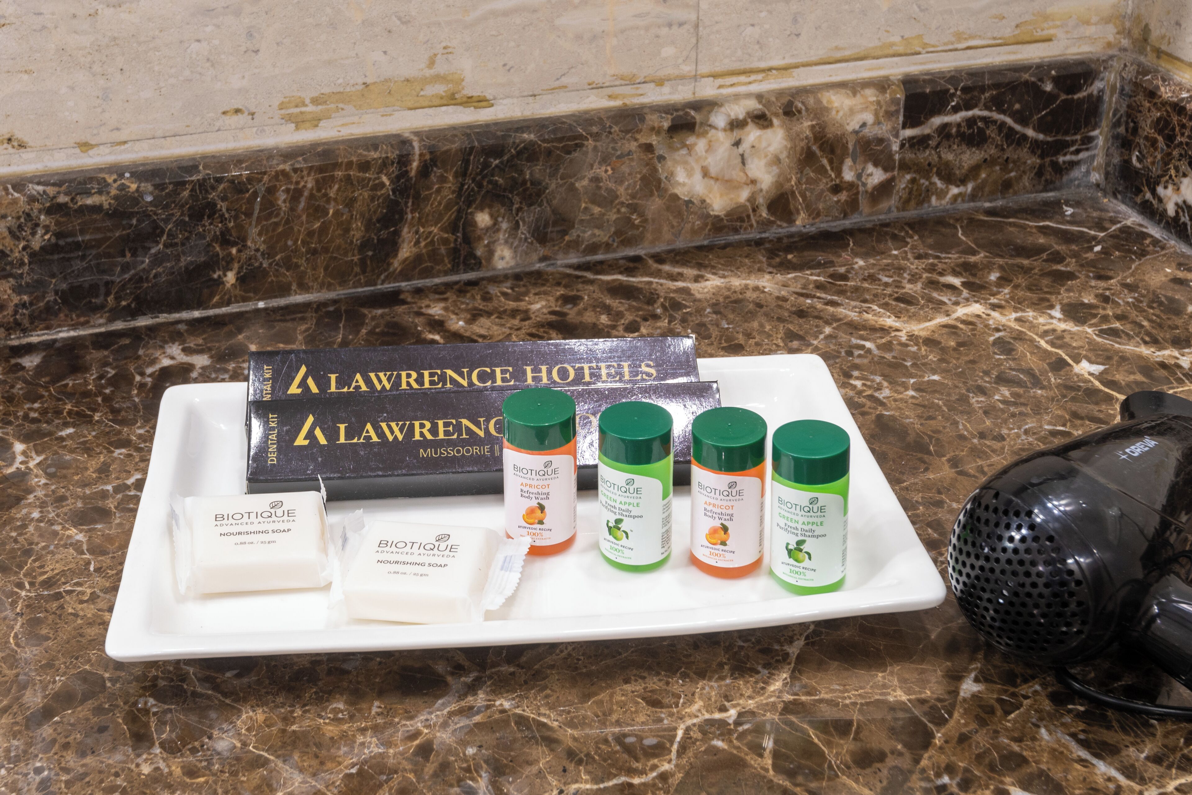 A marble countertop with a white tray holding Biotique Nourishing Soap, Biotique Advanced Nourishing Soap, and Biotique Nourishing Shampoo. A hair dryer is also visible.