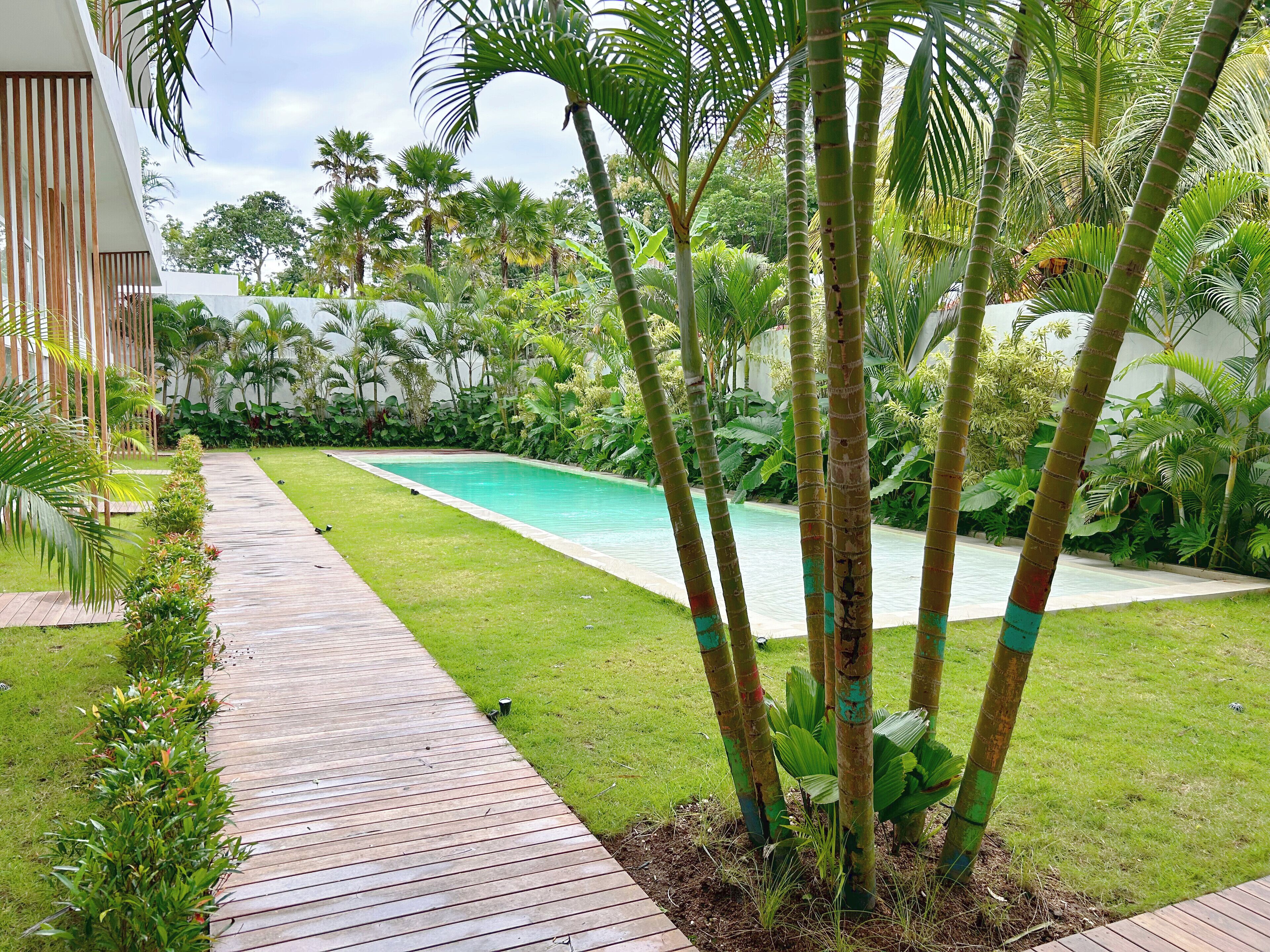 A pool area with a wooden deck, surrounded by lush greenery and palm trees.