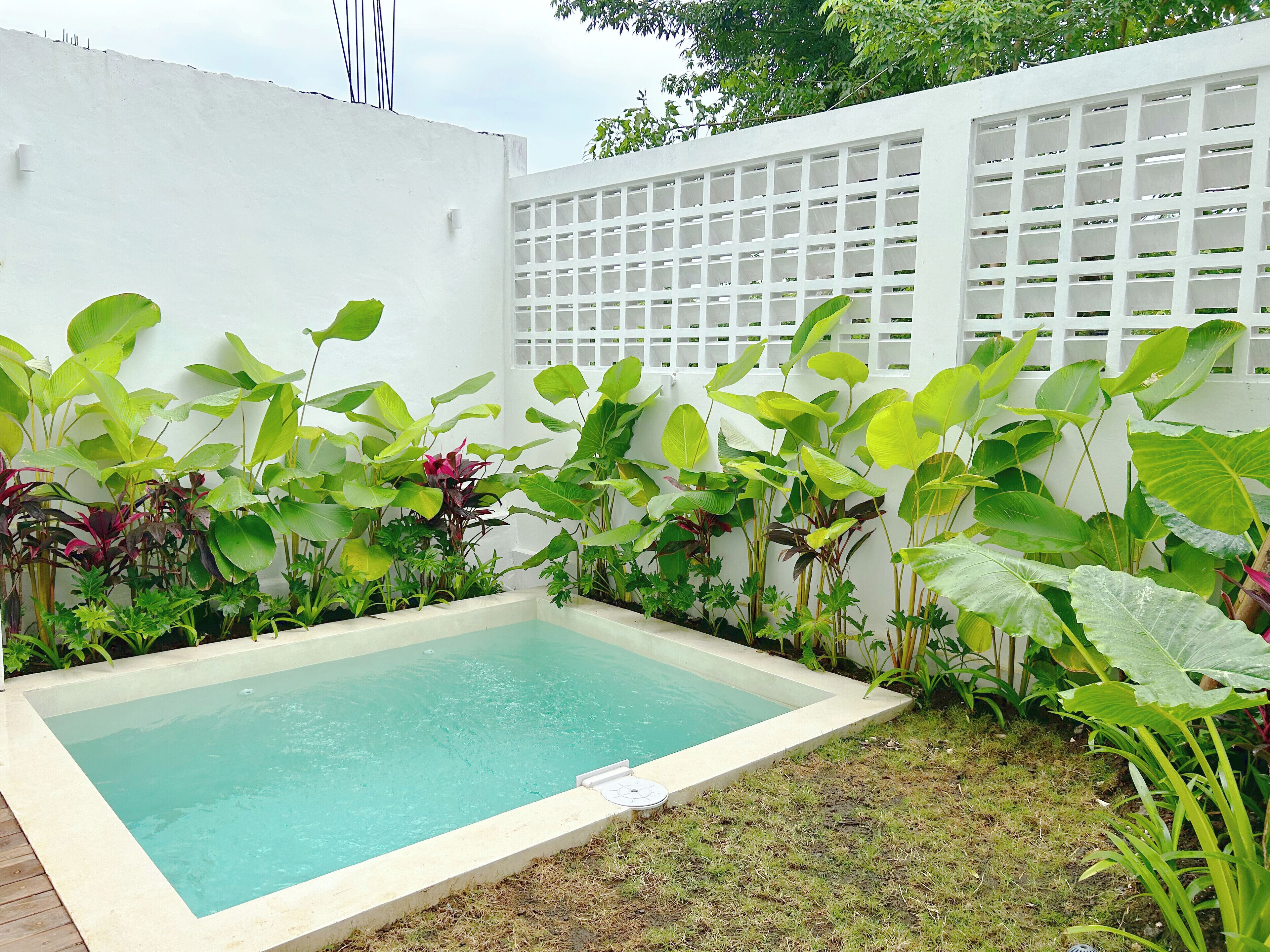 Una piscina rectangular con una valla blanca y abundante vegetación a su alrededor.