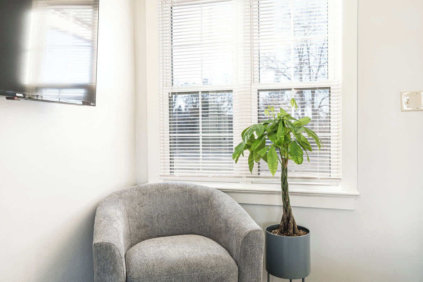 Una habitación con un sillón gris, una planta en maceta y una ventana con persianas.