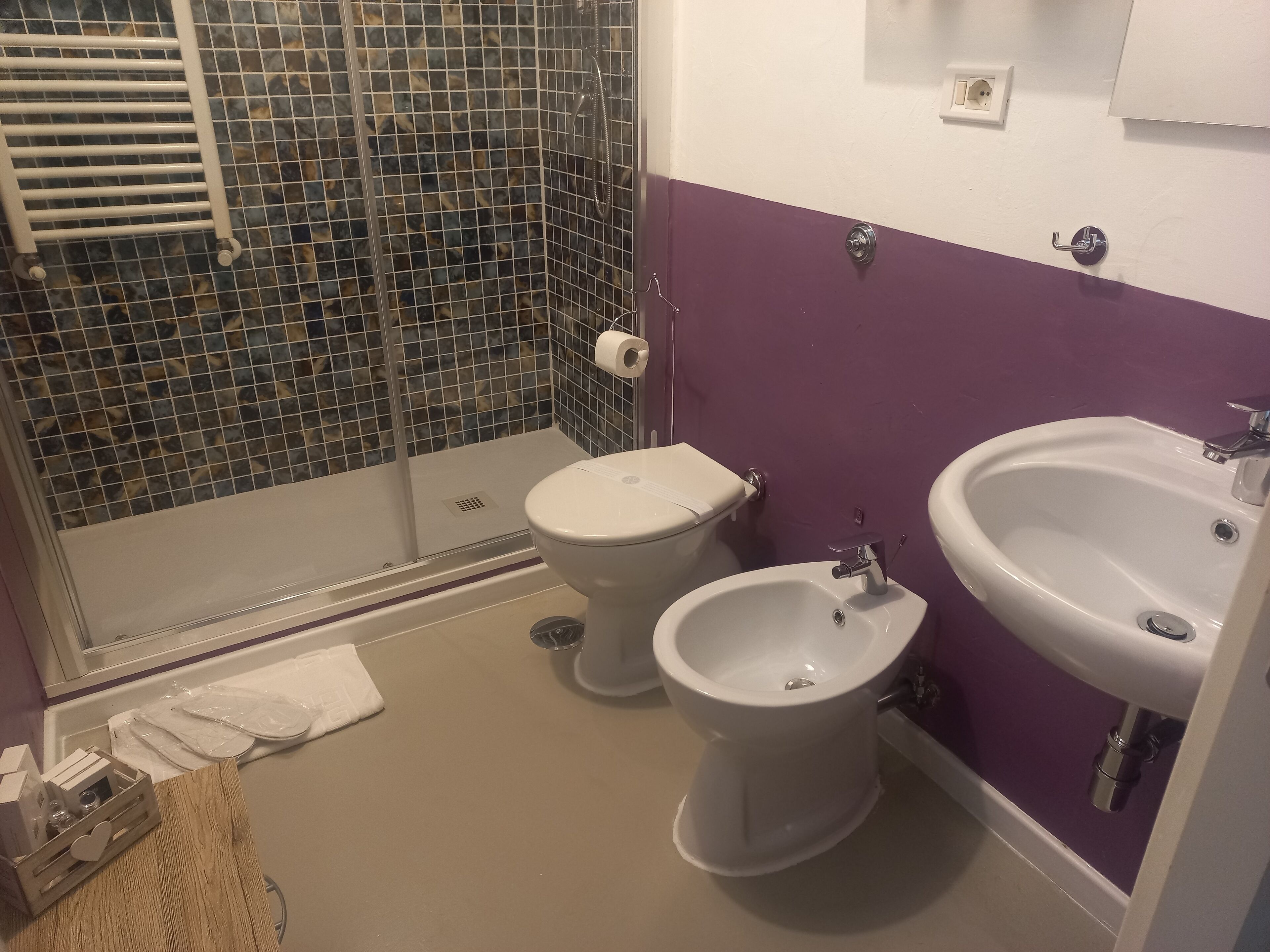 Shower, hair dryer, bidet, towels