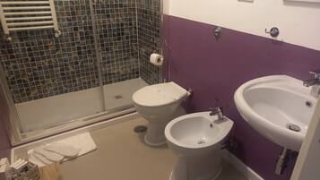 Shower, hair dryer, bidet, towels