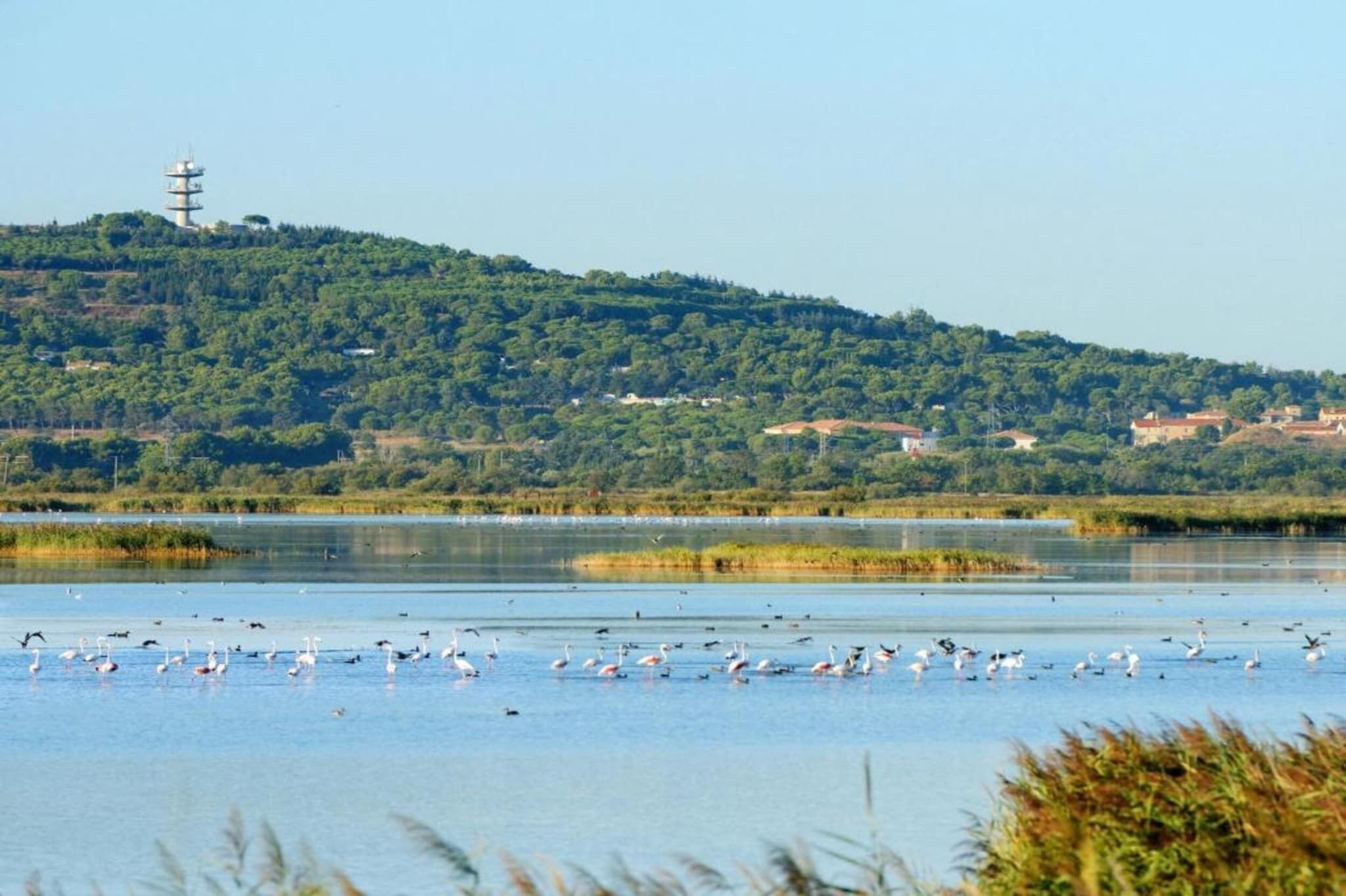 In de regio [zomer] (>5 km)