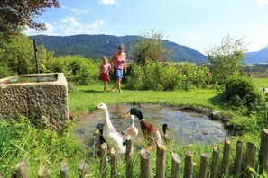 Stroll along the serene water feature surrounded by lush greenery and a stone structure.