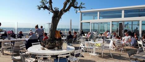 An outdoor dining area with round tables and chairs, a large tree, and a modern building with large windows in the background.