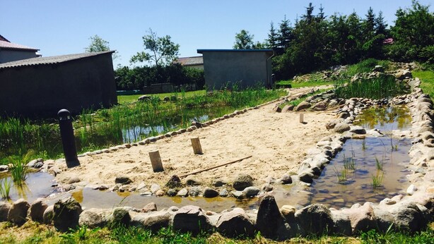 Una zona sorrenca amb canals d'aigua i roques, envoltada de vegetació i edificis.