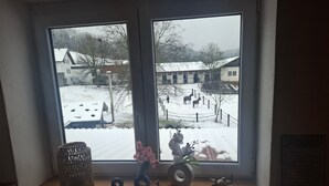 A window with a view of a snowy landscape, a decorative word 'Serious' on a shelf, and a small airplane model.