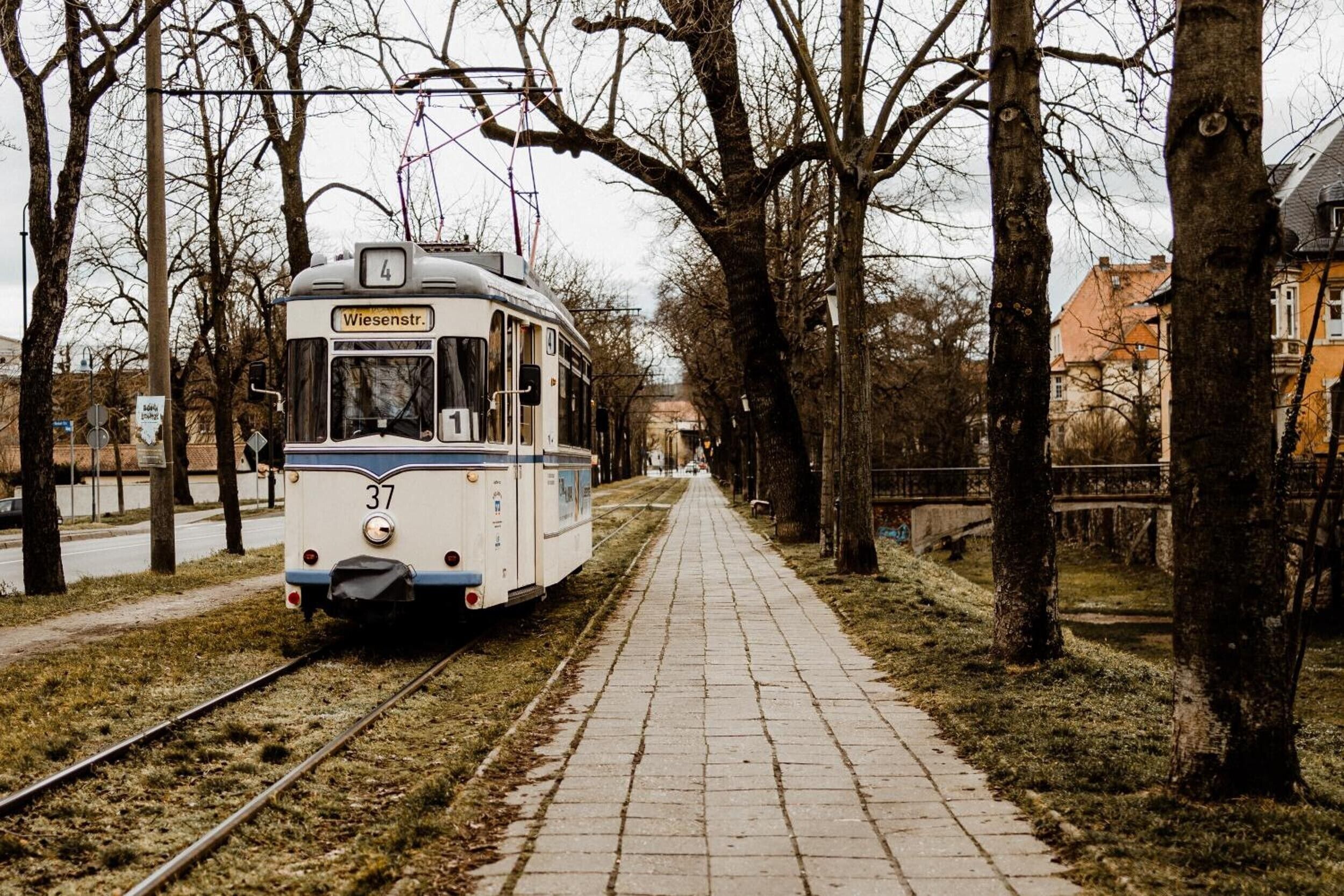 Eine Straßenbahn auf Gleisen, ein gepflasterter Weg und kahl stehende Bäume.