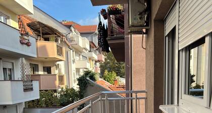 Luxury apartment in a quiet part of the city, free parking